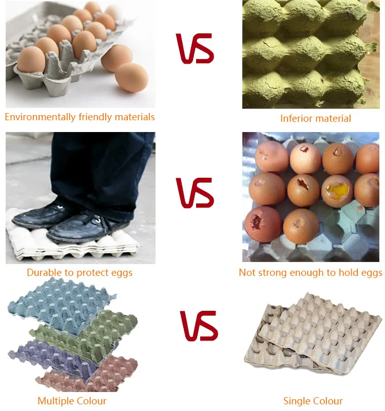 China hot selling colorful paper egg tray