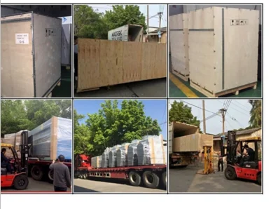 paste-pic-dp_uuid_ukmd9