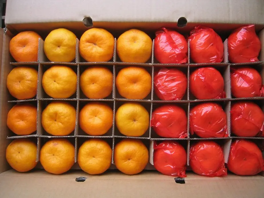 mandarin orange 002.jpg