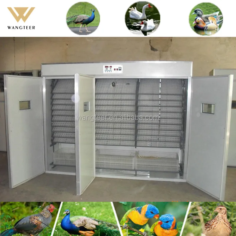 Intelligent incubator controller