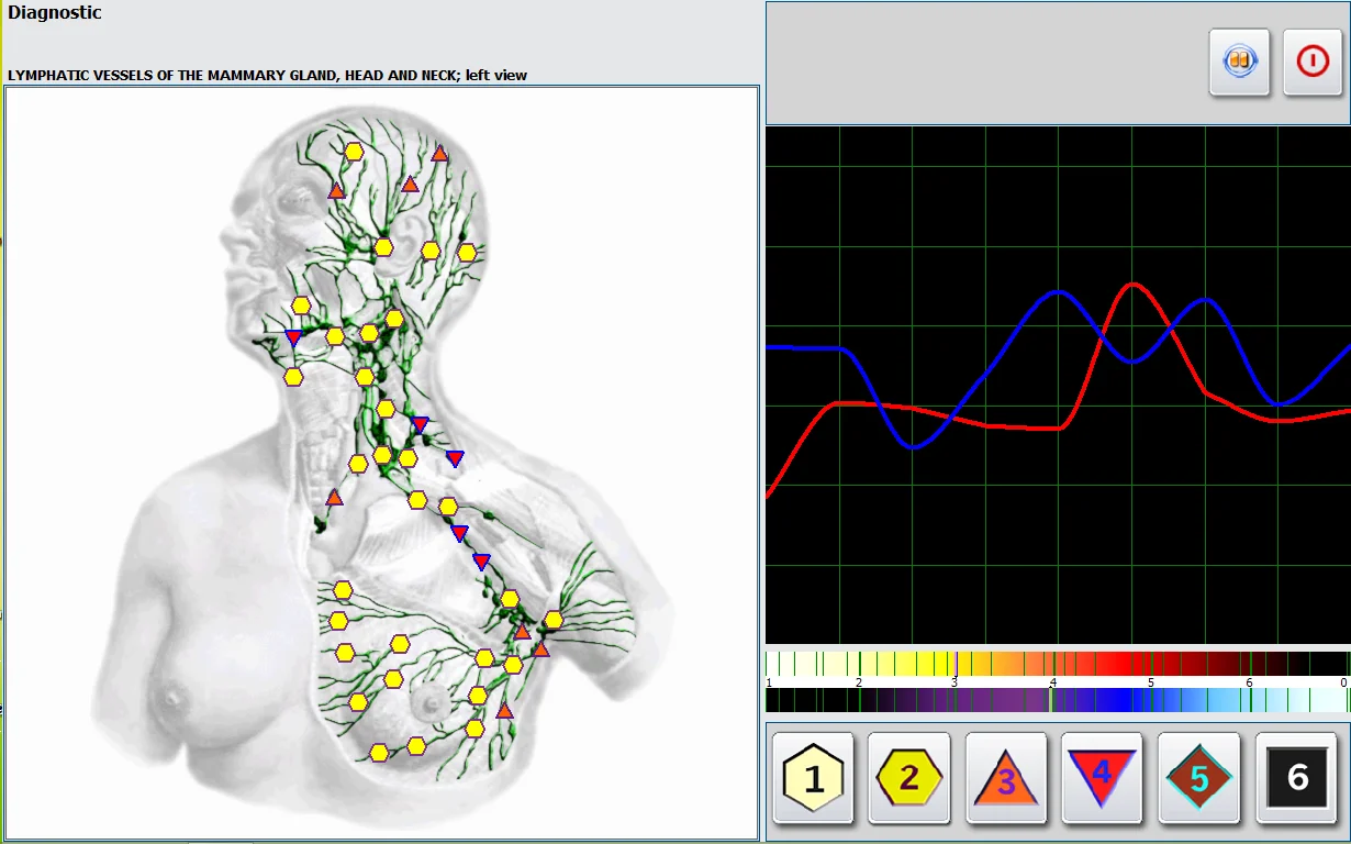 2021 Latest Professional 2 in 1 Touch Screen Metatron NLS Metapathia GR Hunter 4025