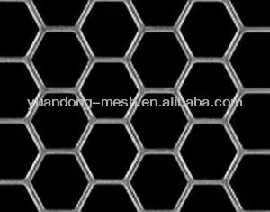 perforated metal-hex  hole.jpg