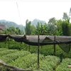 Professional lacrosse net made in China