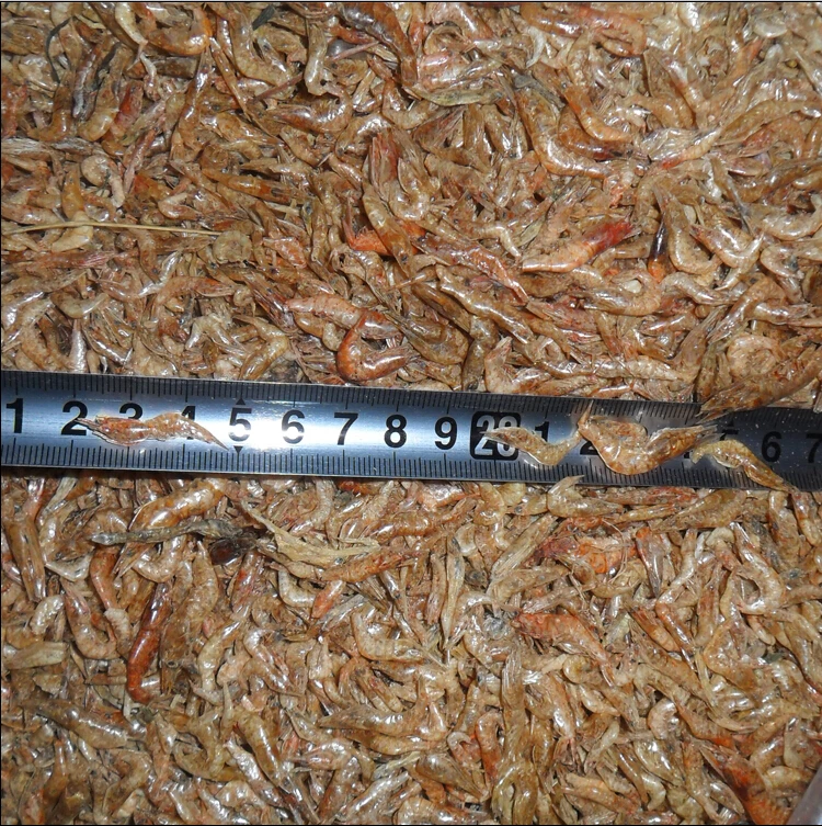 Delicious Good Quality Dried Shrimp / Prawns / Ornamental Fish Feed