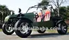 800cc Buggy EEC