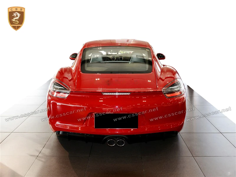 cayman 981 pu body kit (1).jpg