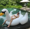 Inflation Pool Float Giant white black gold swan