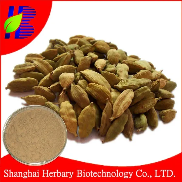 Factory Supply Green Cardamom Extract Powder Buy Cardamom Powder