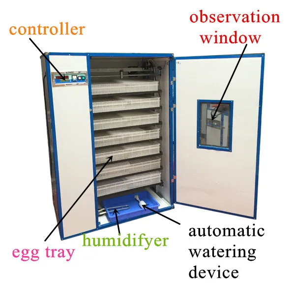 Egg incubator zambia