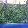 Crystal green gem stone, Green Semi Precious Stone Tile Green Gemstone agate