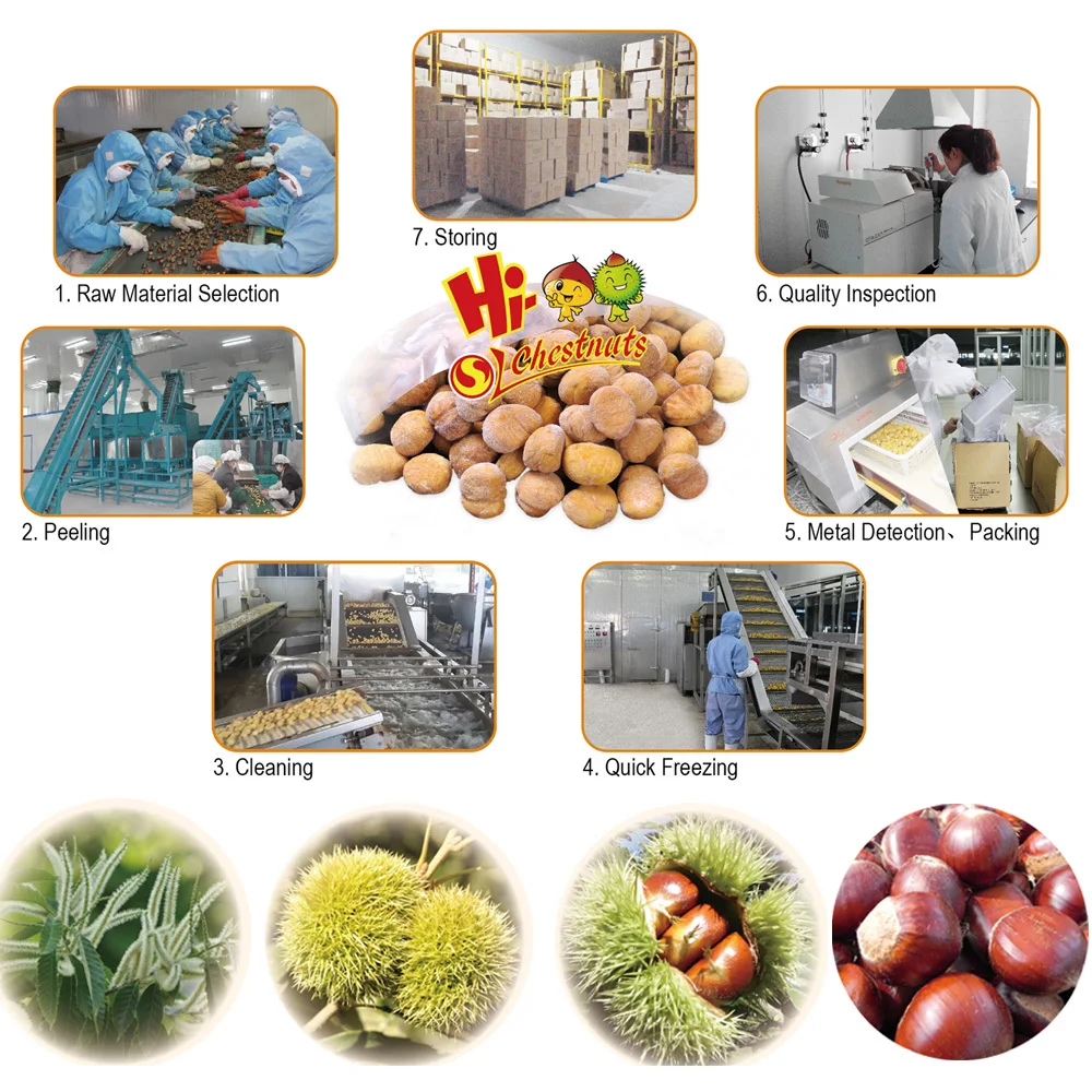 Processing of frozen chestnuts66.jpg