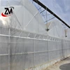 galvanized steel frame multi span greenhouse for sale