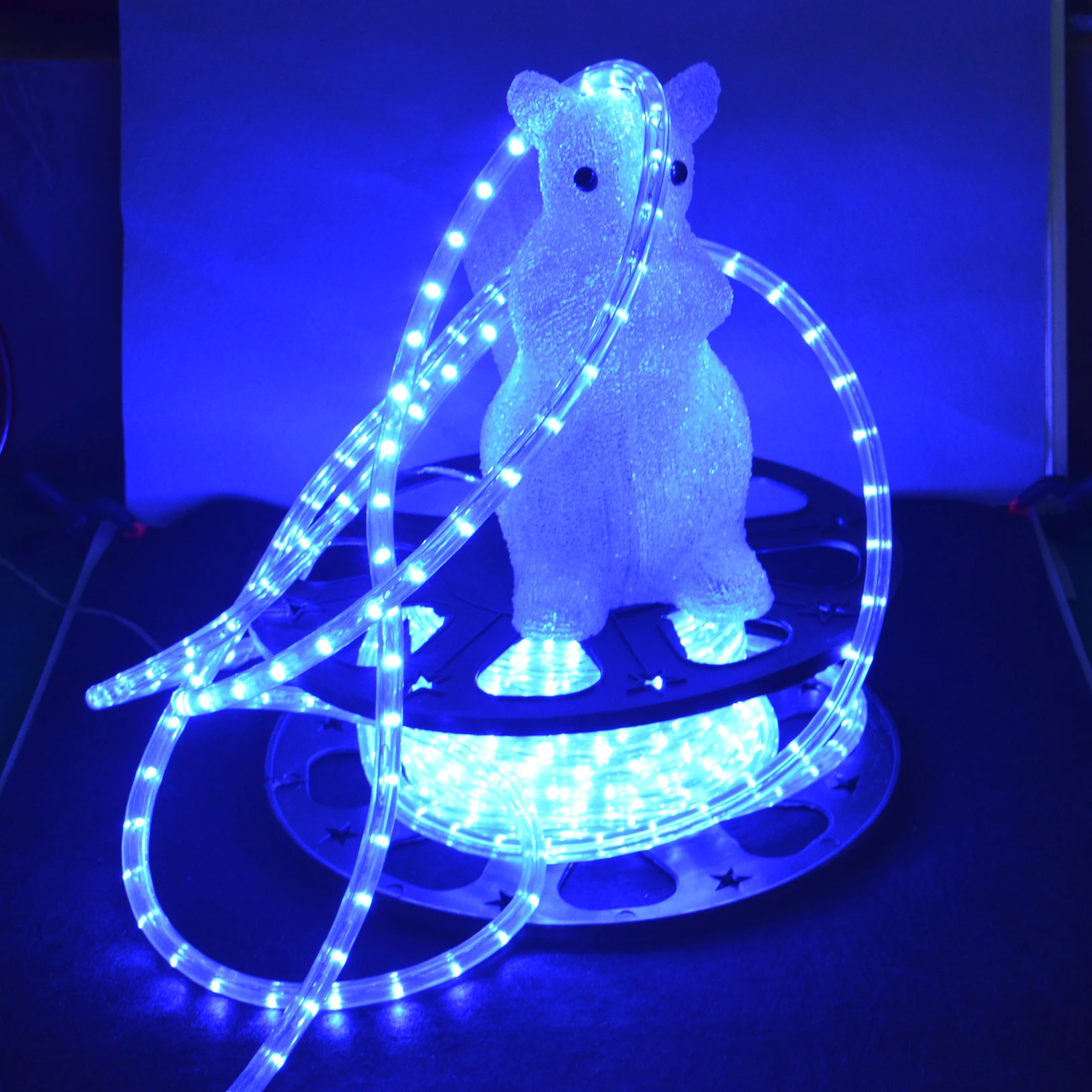 花园装饰防水蓝色圆形 led 灯条