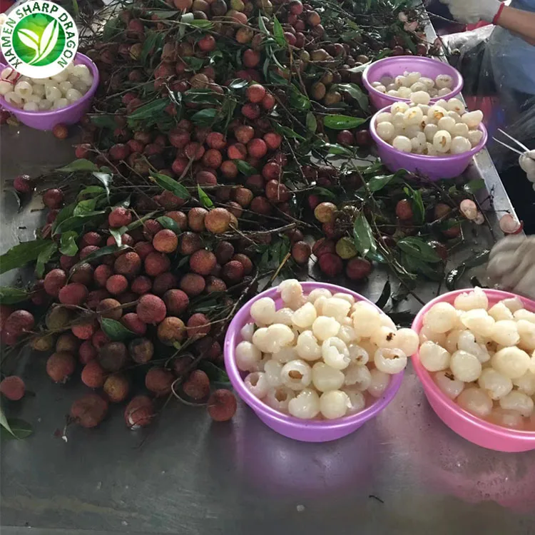 Grade A Delicious Canned Lychee Fruit In Tin Buy Canned Lychee,Lychee
