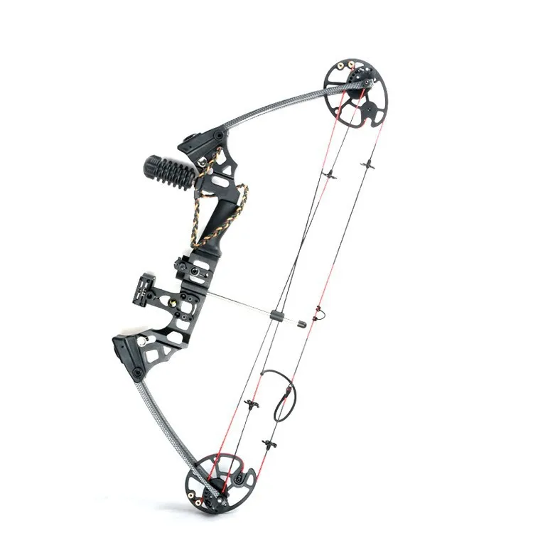 Junxing Compound Bow Set With Carbon Arrows 70lbs Hunting Archery ...