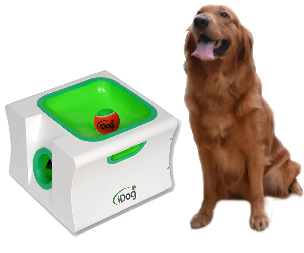 automatic dog ball fetcher