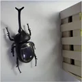 2016 New Solar Beetle Scarab Beetle Tricky Creative Educational Toys For Children Free Shipping Wholesale Halloween