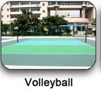 volleyball