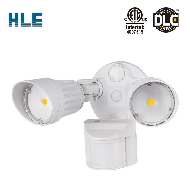 Dual security light