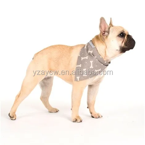 mushroom-bandana-_4.jpg