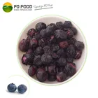 hot sale dry blueberry freeze-dried type fruits powder freeze dried blueberry