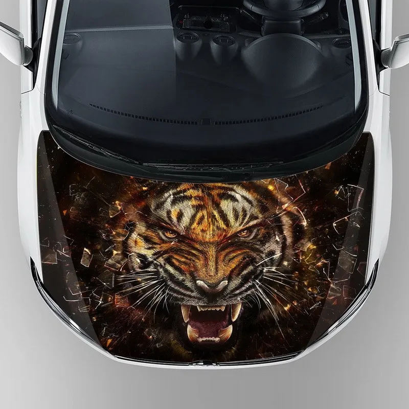 Conception Graphique De Vinyle De Carrosserie Autocollant D'enveloppe