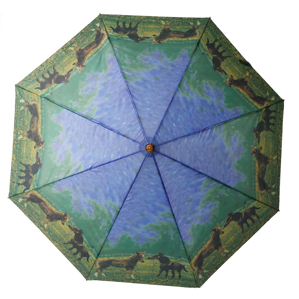 Full Body Telescopic Amazon Windproof Folding Umbrella With Pocket Size