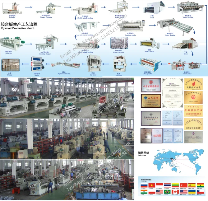 paste-pic-dp_uuid_n0e8r