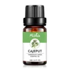 Wholesale Bulk 10ml 100% Pure Natural Organic Cajeput Essential oil