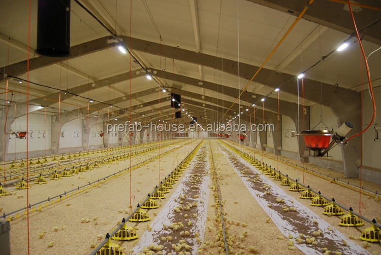 SGS test high quality heat proof alkyd painting layer egg chicken cage broiler poultry shed farm house design for sale 650k