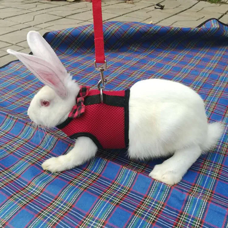Mesh Small Pet Rabbits Vest Harness With Leash For Hamster Bunny Chest Strap Harnesses Buy Xxl