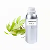 Natural Camphor Oil Bulk Yellow/Brown Camphor Essential Oil