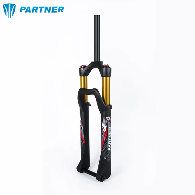 mountain bike air fork