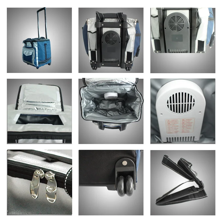 Portable Wine Electric Cooler Bag Small Electric Cooler Box With Wheels