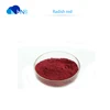 High Quality Health Resources Organic red radish extract / red radish powder
