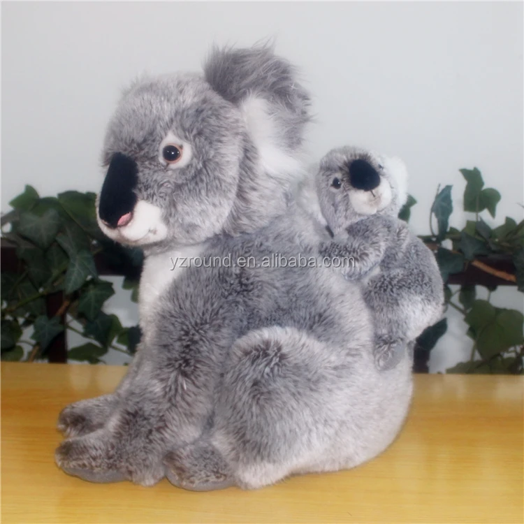 koala2.jpg