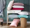 100% Mulberry Silk Filling Pillow with Quilted Cotton Shell Silk pillowcase