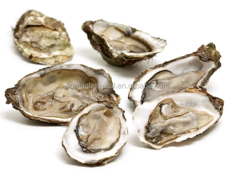 oyster extract.png