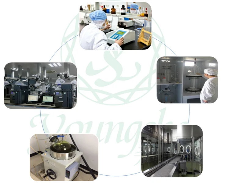 paste-pic-dp_uuid_miolj