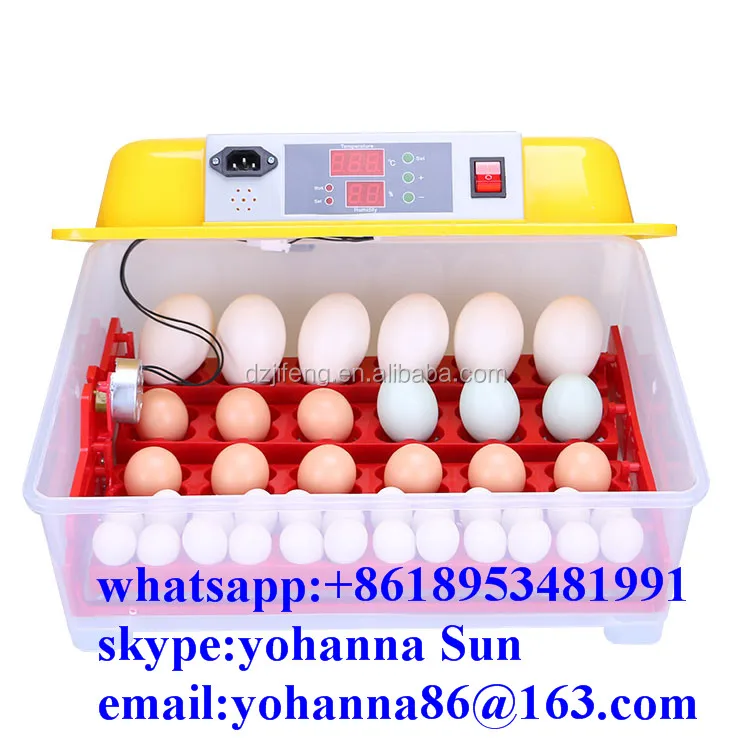 small bird egg incubator