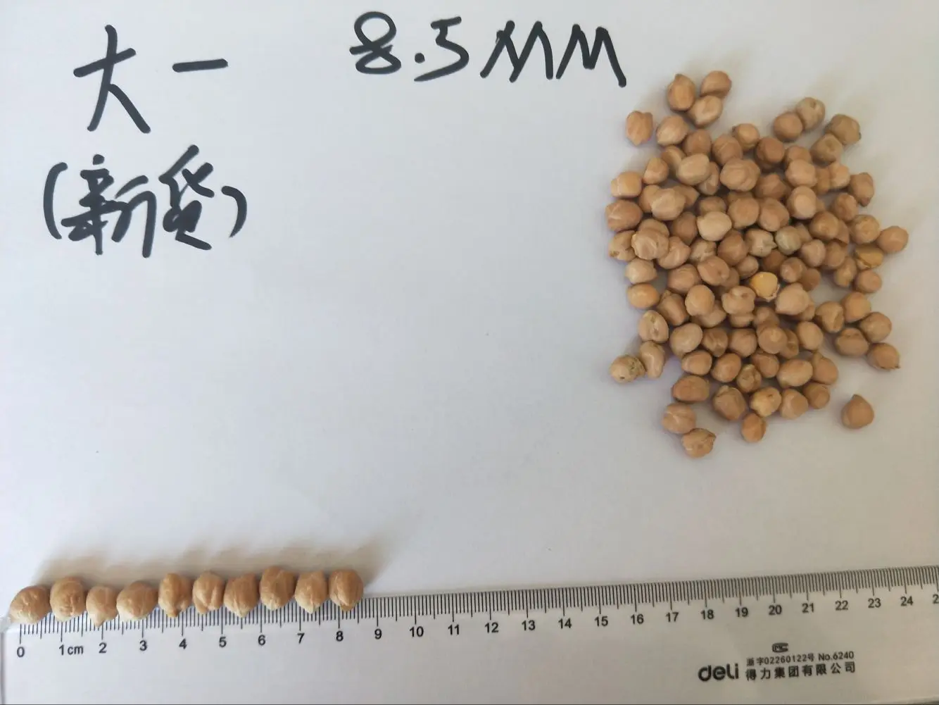 chickpea.png