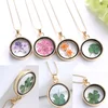 Manufacturer stock zinc alloy round framed locket glass pendant plants dried fower necklace