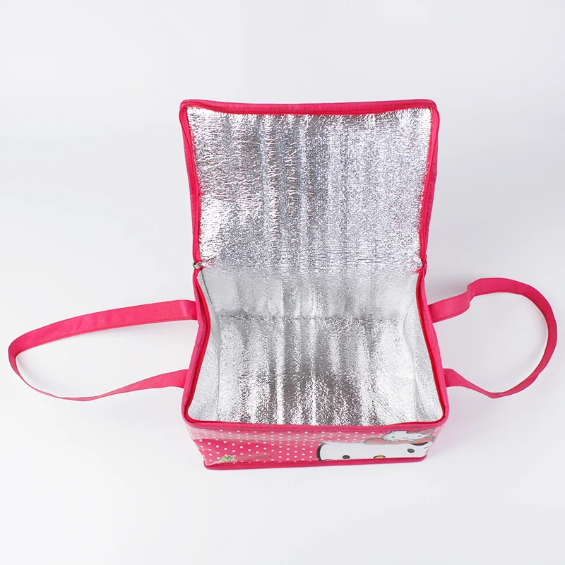 non woven cooler bag  (4)