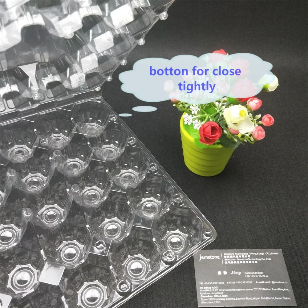 30 holes egg tray (3)_.jpg