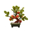 Ochoos The Export of Jade Ornaments 6 Apple Tree Jade Pot Ornaments Crafts Jewelry Gifts Home Furnishing Living Room