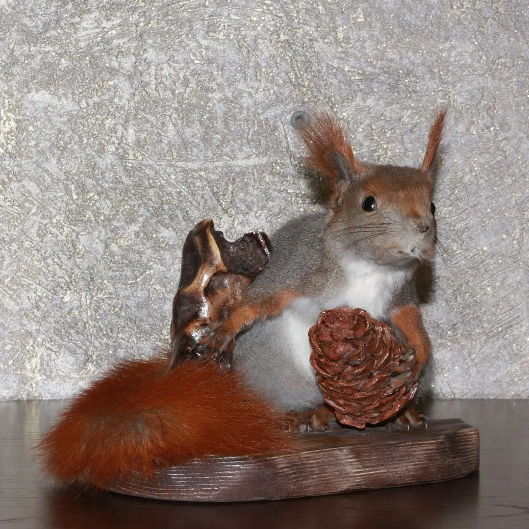 gray squirrel stuffed animal