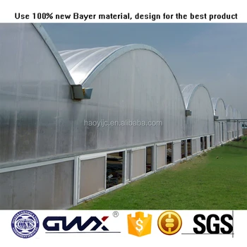 10mm Solid Polycarbonate Sheet Greenhouse Roofing Materials At Best 10mm Solid Polycarbonate Sheet Greenhouse Roofing Materials At Best Price