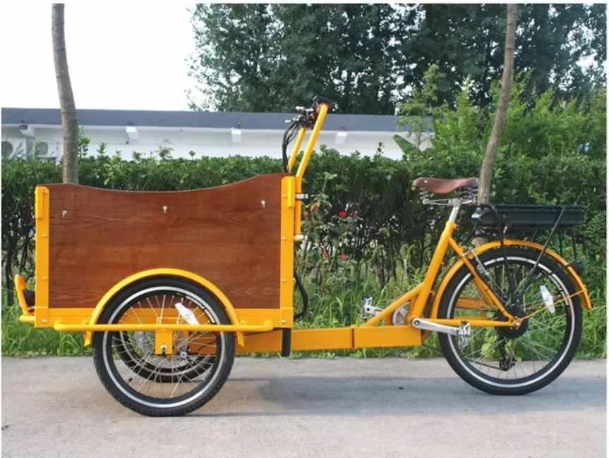 dutch cargo trike