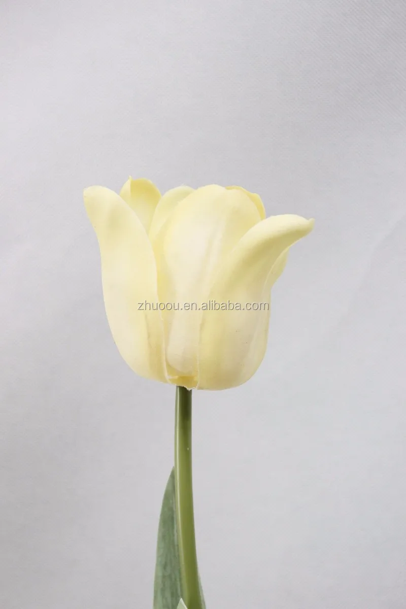 plastic tulips