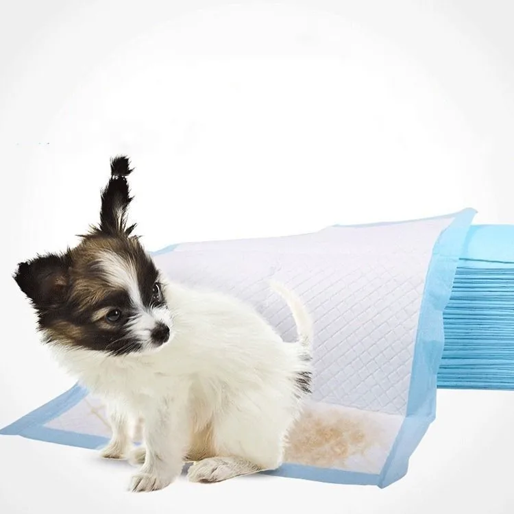 2019 Disposable 100 Cotton Dog Pee Pad Puppy Pet Training Pads Buy